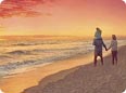 Beach Escapes