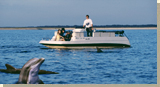 Hilton Head Recreation & Entertainment