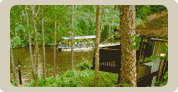 The Treehouse Villas at Disney's Saratoga Springs Resort & Spa